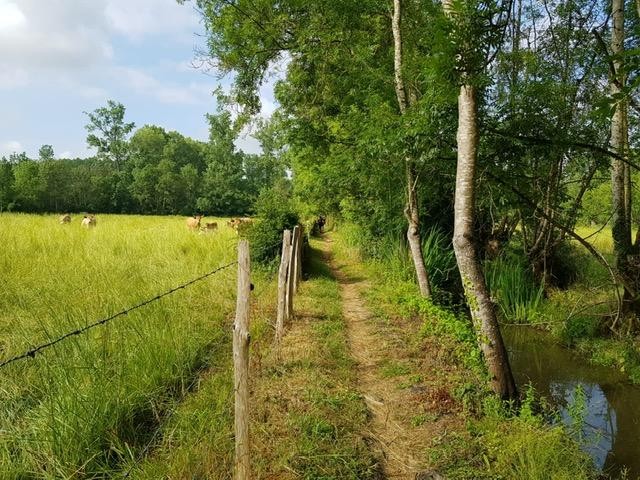Sentier