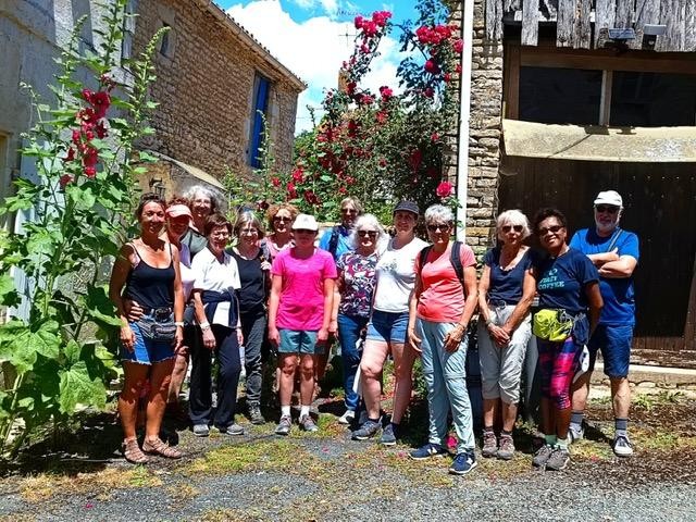 Visite