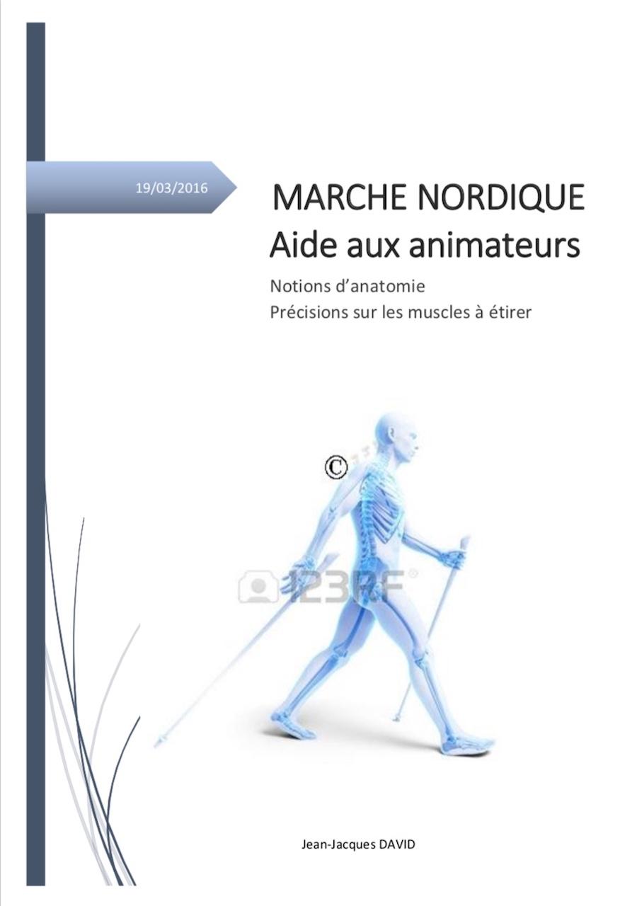 Mn anatomie etirement