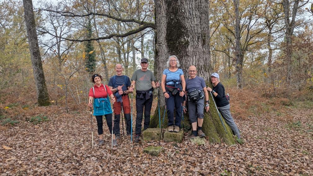 Pxl 20251113 135452030 mp